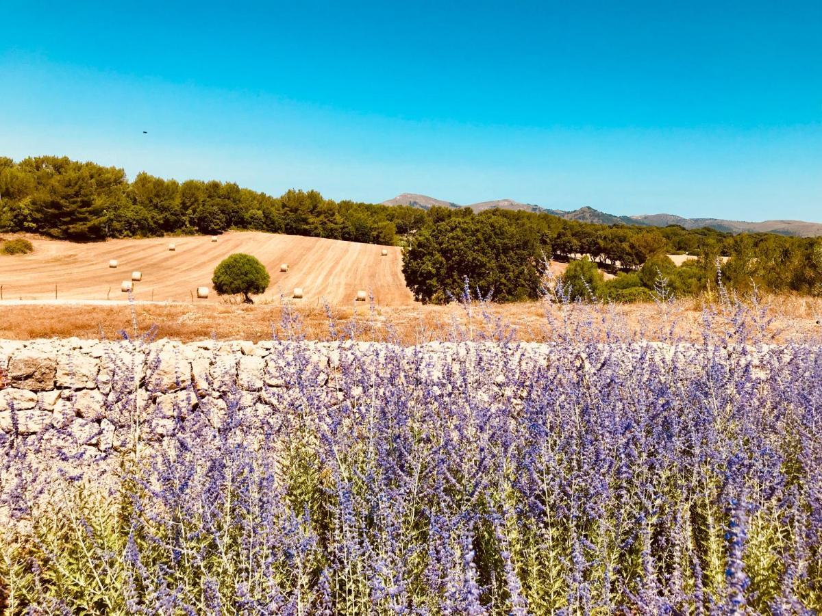 Finca Sestelrica Artá Esterno foto